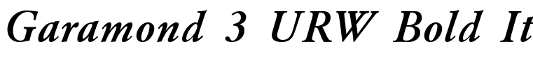 Garamond 3 URW Bold Italic