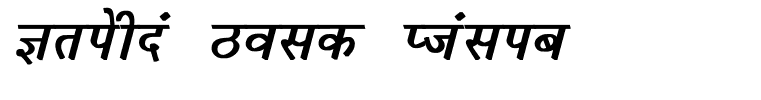Krishna Bold Italic