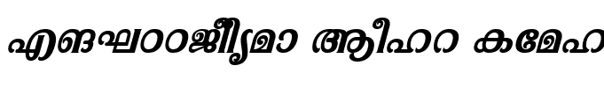 FML-TTPooram Bold Italic