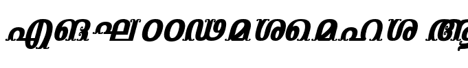 FML-TTVaisali Bold Italic